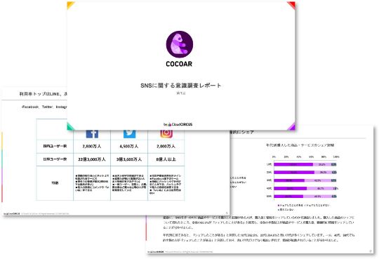 SNSに関する意識調査